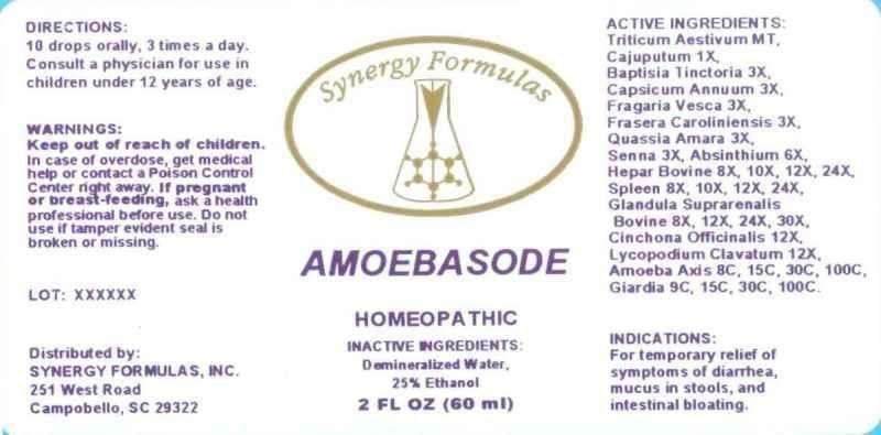 Amoebasode